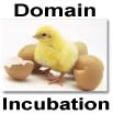 Domain Incubation